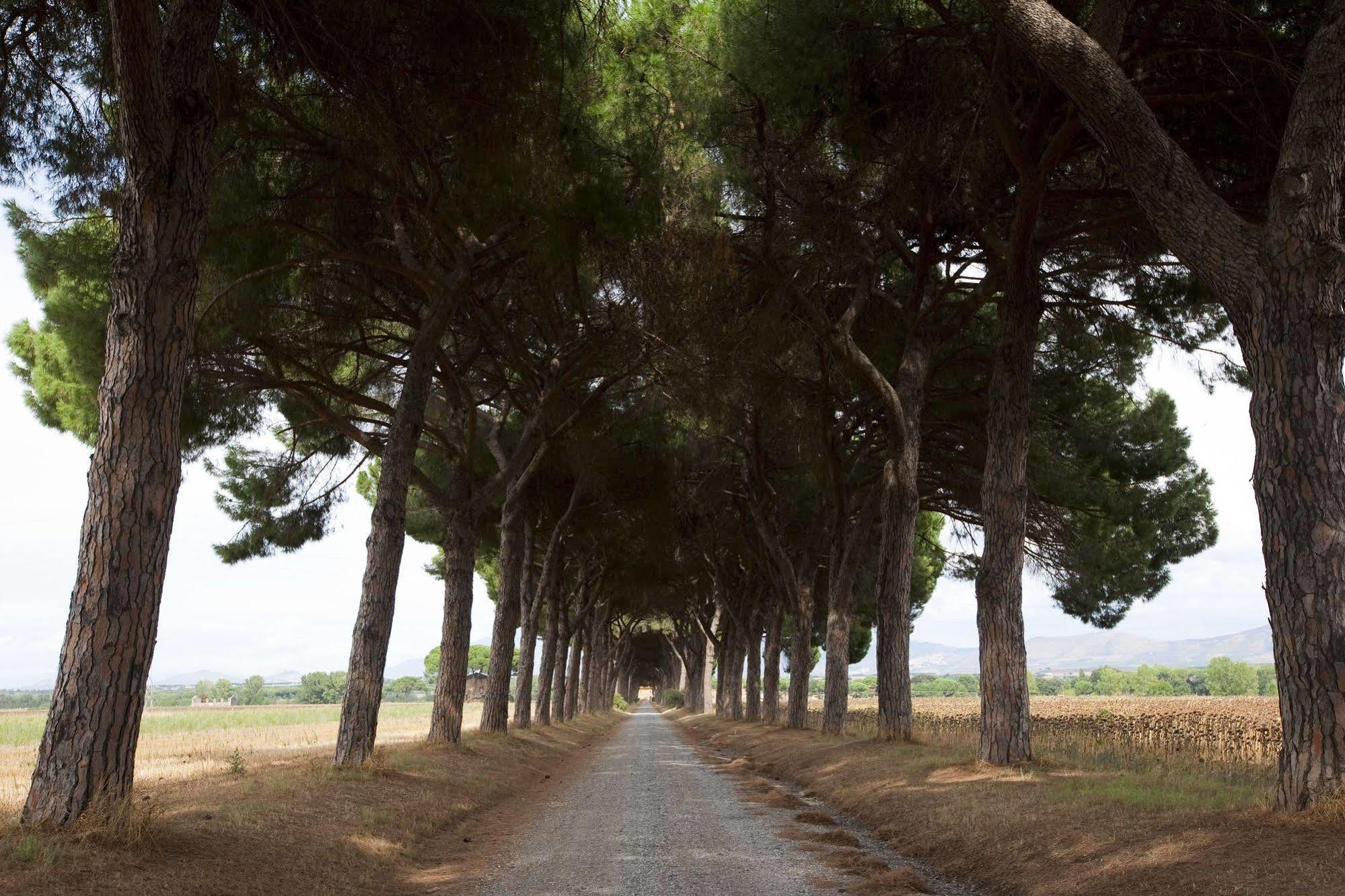 Agriturismo Pantano Borghese Monte Compatri Ngoại thất bức ảnh